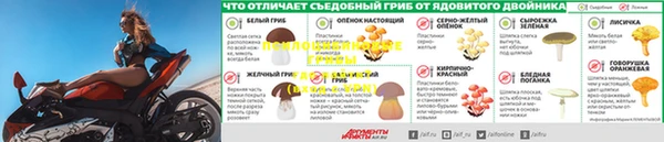 прущий лед Белокуриха