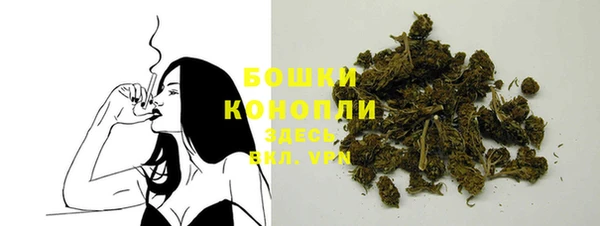 спайс Богданович